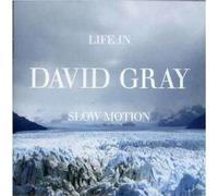 David Gray - Life in Slow Motion by David Gray (2005) Audio CD