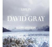 David Gray - Life in Slow Motion