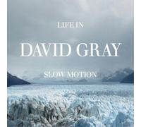 David Gray Life in Slow Motion (CD) Album