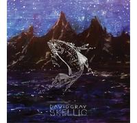 David Gray Skellig (Vinyl LP) 12" Album