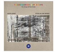 Endless Coloured Ways: The Songs Of Nick Drake - David Gray / S... (Vinile)