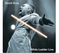 David Gray - White Ladder Live