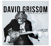 David Grissom - How It Feels to Fly