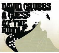 David Grubbs - Guess At The Riddle