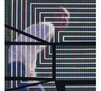 David Grubbs The Plain Where the Palace Stood (CD) Album