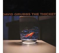 David Grubbs The Thicket (CD) Album