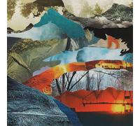 David Grubbs Whistle from Above (Vinyl LP) 12" Album