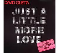 David Guetta - Just a Little More Love Rmx