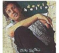 David Halley - Stray Dog Talk