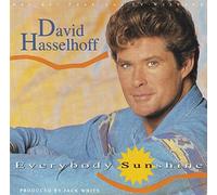 David Hasselhoff - Everybody sunshine
