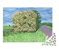 David Hockney Rompicapo,Puzzle arte, Puzzles museo Per Adulti, Jigsaw Puzzles, Impegnativo Puzzle Di Legno dipinto, Stampa A Colori 1000 Pcs