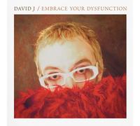 embrace your dysfunction