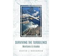 David J Hoerner Surviving The Turbulence (Tascabile)