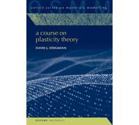 David J. Steigmann A Course on Plasticity Theory (Copertina rigida)