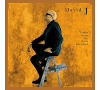David J - Tracks From The Attic Revisited (Opaque Gold Coloured) (LP)