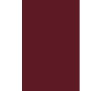David Jackson O Federal Tax Treatment of State and Local Secu (Copertina rigida)