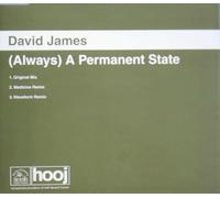 David James - Always a Permanent State