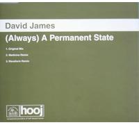 David James - Always a Permanent State