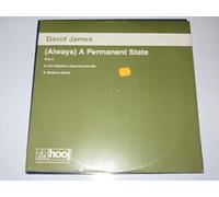 David James - Always a Permanent State [CD 2] [12 [Vinyl Single]