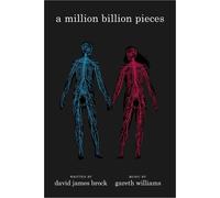 David James Brock Gareth Williams A Million Billion Pieces (Tascabile)