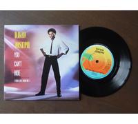 David Joseph - You Can't Hide (Your Love From Me) [7" Vinyl]