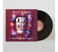 David Kilgour A Feather in the Engine (Vinyl LP) 12" Remastered Album
