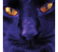 David Kilgour And Th - Bobbie S A Girl