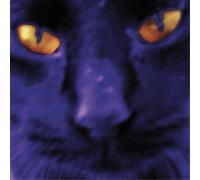 David Kilgour and The Heavy Eights Bobbie's a Girl (CD) Album