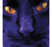 David Kilgour and The Heavy Eights Bobbie's a Girl (CD) Album