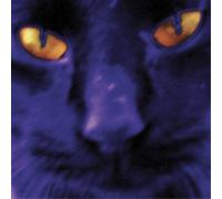 David Kilgour and The Heavy Eights Bobbie's a Girl (Vinyl LP)