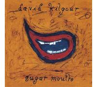 David Kilgour Sugar Mouth Bonus Tracks Album