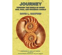 David L Oakford Journey Through The World of Spirit (Tascabile)