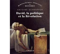 David, la politique et la révolution