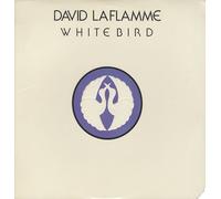 DAVID LAFLAMME - DAVID LAFLAMME / WHITE BIRD