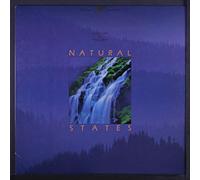 DAVID LANZ & PAUL SPEER - Natural States