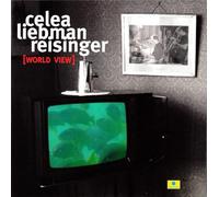 DAVID LIEBMAN TRIO - World View