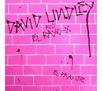 DAVID LINDLEY - El Rayo-X