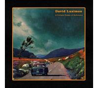 David Luximon A Certain Frame of Reference (Vinyl LP)