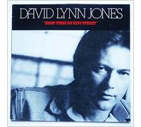 David Lynn Jones - Hard Times on Easy Street