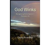 David M Arnold God Winks (Tascabile)