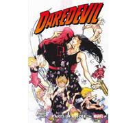 David Mack Jimmy Palmiotti Daredevil: Parts of A Hole (Tascabile)
