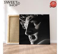 DAVID MICHELANGELO FIRENZE Stampa su Tela ALTA' QUALITA' QUADRO MODERNO ARTE