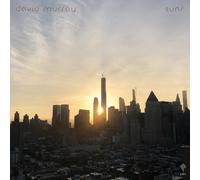 David Murray Sun/Moon (Vinyl LP)