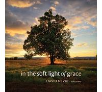 David Nevue - In the Soft Light of Grace