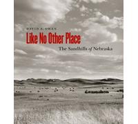 David Owen Like No Other Place (Tascabile)