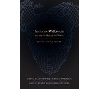 David Palumbo-Liu Immanuel Wallerstein and the Problem of the World (Tascabile)
