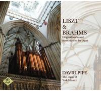 David Pipe - Liszt & Brahms: Original works and transcriptions for organ