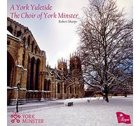 David Pipe - York Yuletide