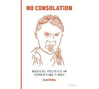 David Ridley No Consolation (Tascabile)