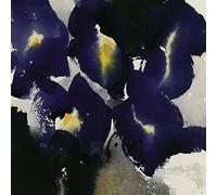 David Ross Iris Laevigata su Tela, 40 x 40 cm, Motivo: Impronte, Colore: Multicolore
